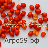 Оптимальные условия для выращивания